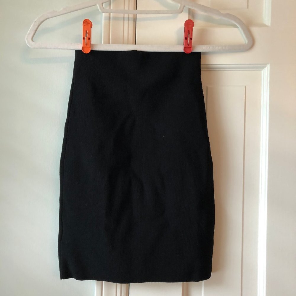 Aritzia Talula pencil skirt